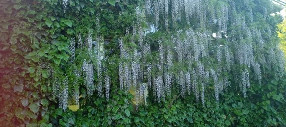 5 غرف نوم فيلا في Correzzola, Italy رقم 358411 30