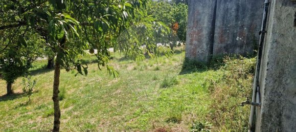 2 bedrooms House in Pombal, Portugal No. 176057 23