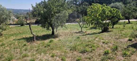 2 bedrooms House in Pombal, Portugal No. 176057 22