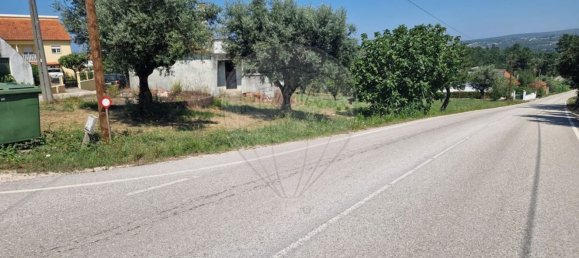 2 bedrooms House in Pombal, Portugal No. 176057 19