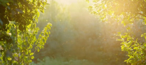 شقة في مدينة محمد بن راشد, UAE 47متر مربع رقم 111060 12