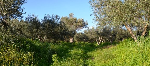 5500m² Hotel in Rethymno, Greece No. 5121 3