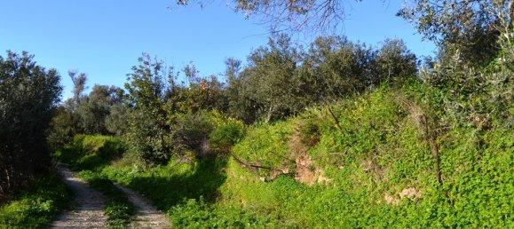 5500m² Hotel in Rethymno, Greece No. 5121 2