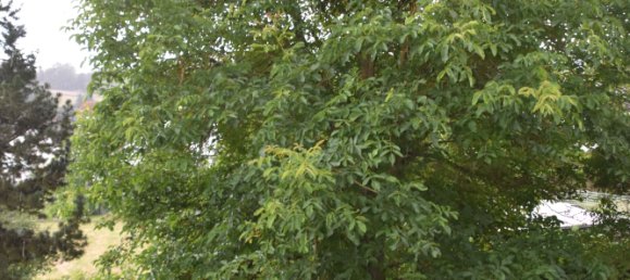 3 chambres Maison de ville à Limburg-Weilburg, Germany No. 132878 20