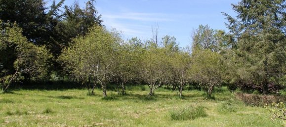 Дом с 4 спальнями в Неон-сюр-Крёз, Франция № 53053 14