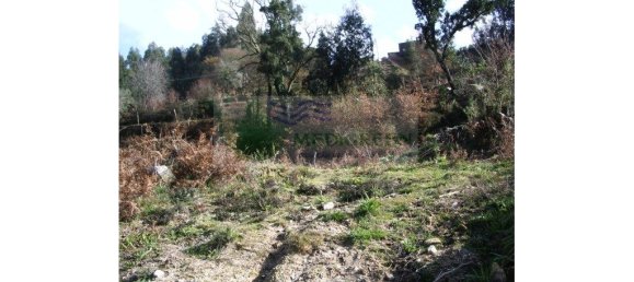 4445m² Land in Sever do Vouga, Portugal No. 256668 2