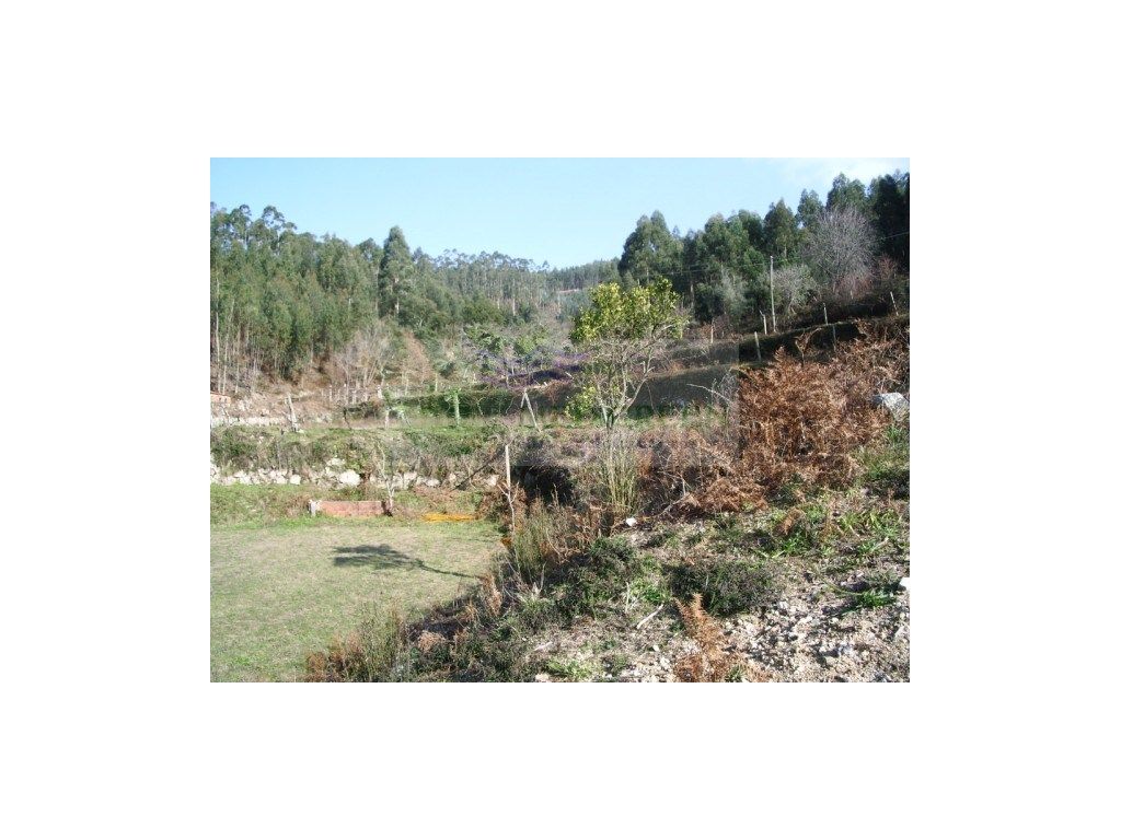 4445m² Land in Sever do Vouga, Portugal No. 256668