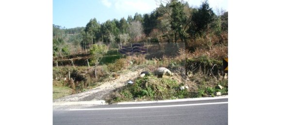 4445m² Land in Sever do Vouga, Portugal No. 256668 4