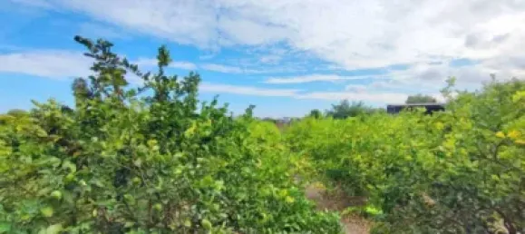 Дом с 2 спальнями в Суэка, Испания № 133723 15