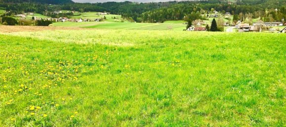  Land in Weinitzen, Austria No. 127405 4
