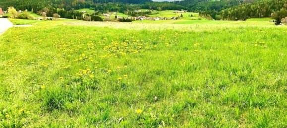  Land in Weinitzen, Austria No. 127405 2
