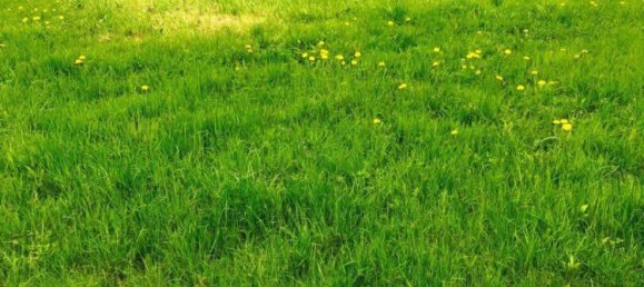  Land in Weinitzen, Austria No. 127405 3