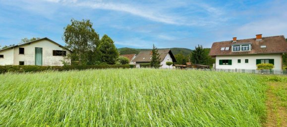  Land in Stattegg, Austria No. 213631 3