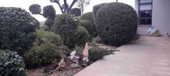 5 غرف نوم منزل في Strovolos, Cyprus رقم 6792 4