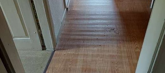 6 bedrooms Townhouse in Bernkastel-Wittlich, Germany No. 143292 26