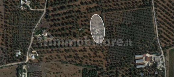 Дом с 1 спальней в Франкавилла Фонтана, Италия № 271601 9