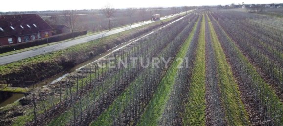 Здание с 20 комнатами в Штаде, Германия № 148839 12