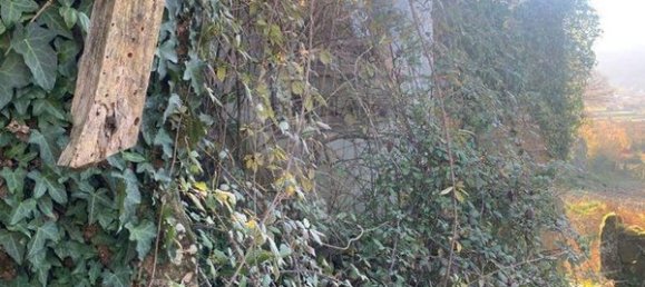 1 Schlafzimmer Haus in Paredes de Coura, Portugal, Nr. 19137 11