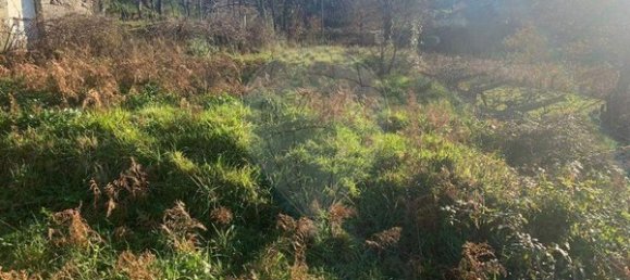 1 Schlafzimmer Haus in Paredes de Coura, Portugal, Nr. 19137 2