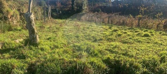 1 Schlafzimmer Haus in Paredes de Coura, Portugal, Nr. 19137 6