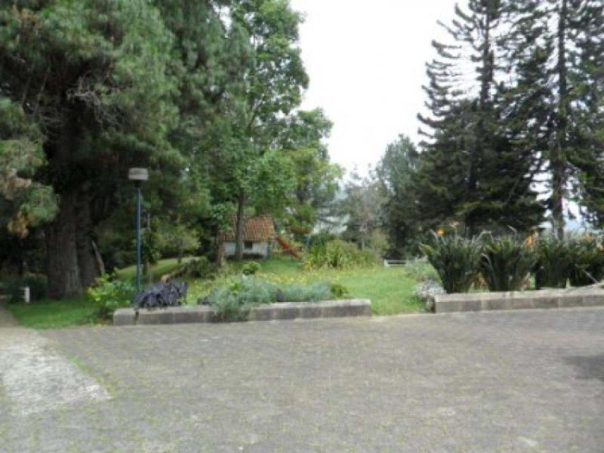 5 chambres Maison à Antioquia, Colombia No. 6786