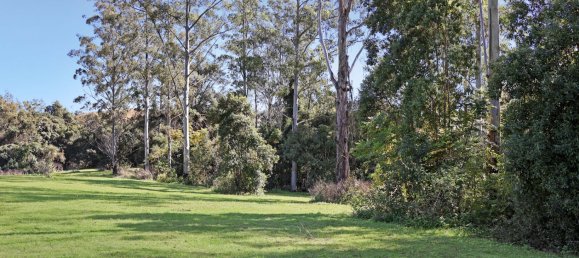5 bedrooms Farm in Ettrick, Australia No. 459 23