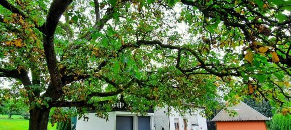 Casa de 3 habitaciónes en Kaiserslautern, Germany No. 55743 2