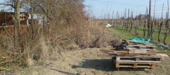 Studio in Ravenna, Italy No. 113088 2