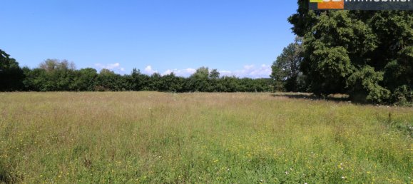 2 غرف نوم منزل في Pierre-de-Bresse, France رقم 291243 9