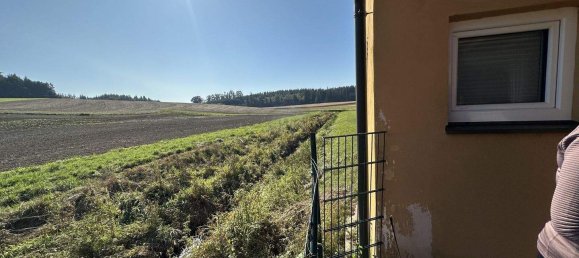 Bungalow de 2 habitaciónes en Waizenkirchen, Austria No. 147699 3