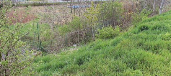  Land in Markt Neuhodis, Austria No. 242983 4