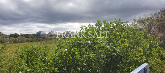 3 bedrooms Farm in Zejtun, Malta No. 2864 9