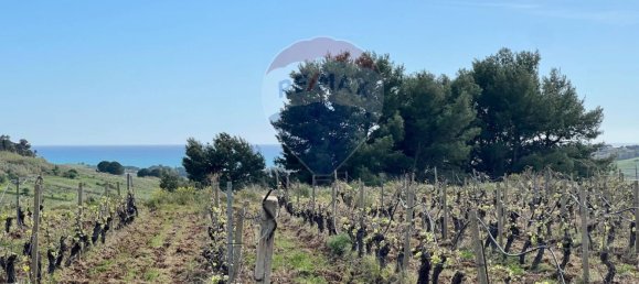 12480m² Land in Menfi, Italy No. 57534 4