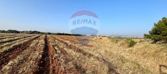 12480m² Land in Menfi, Italy No. 57534 6