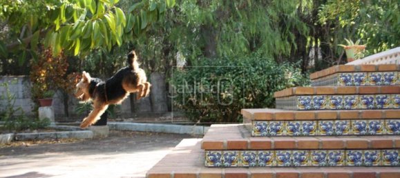 5 chambres Maison à Denia, Spain No. 145948 25