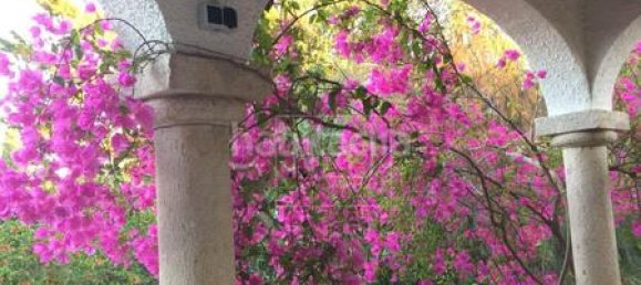 5 chambres Maison à Denia, Spain No. 145948 31