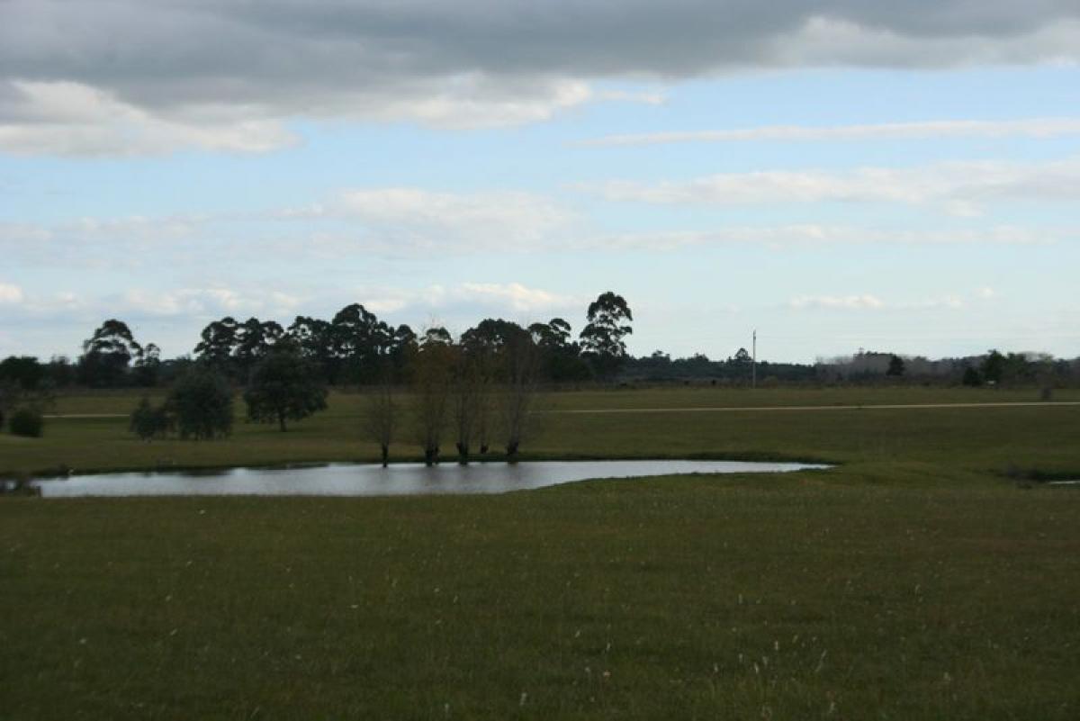 Земельный участок в Мальдонадо, Уругвай № 16103