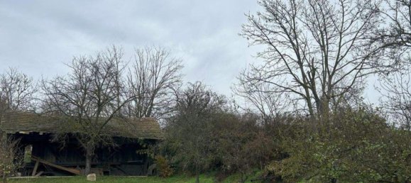 Casa de 6 habitaciónes en Senftenberg, Austria No. 242243 8