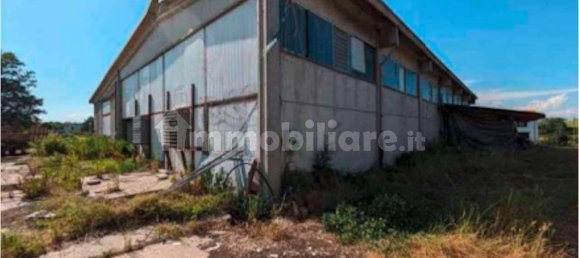 5-Zimmer Haus in Frascaro, Italy, Nr. 209415 4