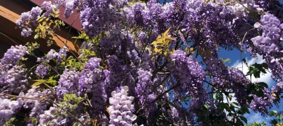 7غرفة تاون هاوس في Weiz, Austria رقم 162089 19