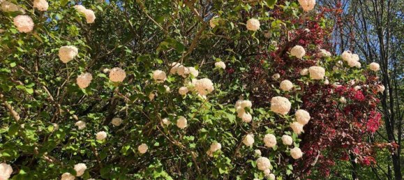 7غرفة تاون هاوس في Weiz, Austria رقم 162089 30