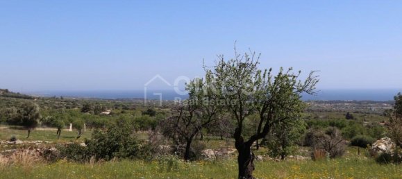 2 chambres Terrain à Avola, Italy No. 85818 13