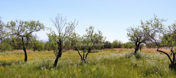 2 chambres Terrain à Avola, Italy No. 85818 9