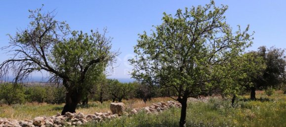 2 chambres Terrain à Avola, Italy No. 85818 2