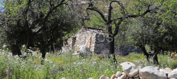 2 chambres Terrain à Avola, Italy No. 85818 3