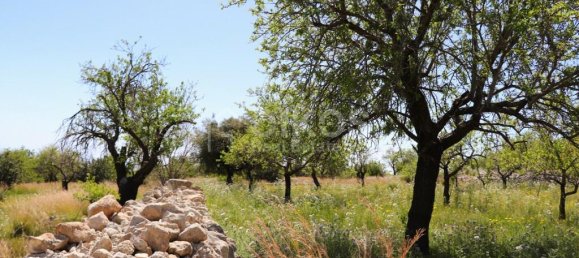 2 chambres Terrain à Avola, Italy No. 85818 8