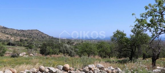 2 chambres Terrain à Avola, Italy No. 85818 12