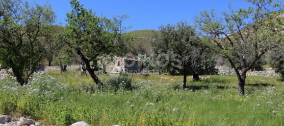 2 chambres Terrain à Avola, Italy No. 85818 4