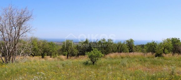 2 chambres Terrain à Avola, Italy No. 85818 7