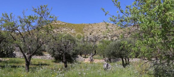 2 chambres Terrain à Avola, Italy No. 85818 14